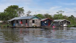 VEJA COMO É A VIDA RIBEIRINHA NA AMAZÔNIA  EM HD [upl. by Wrand]