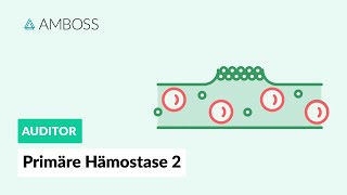 Primäre Hämostase  Teil 2  Physiologie und Medikamente  AMBOSS Auditor [upl. by Metsky454]