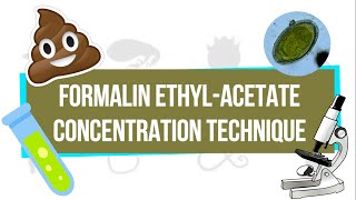 Formalin EthylAcetate Concentration Technique FEACT  UPLB Parasitology Research Laboratory [upl. by Doll]