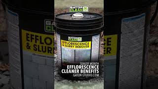 Efflorescence Cleaner Benefits [upl. by Nylyram470]