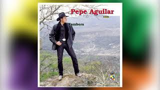 Catorce Años Nueve Meses  Pepe Aguilar Del Album Con Tambora Volumen 1 [upl. by Lefty]