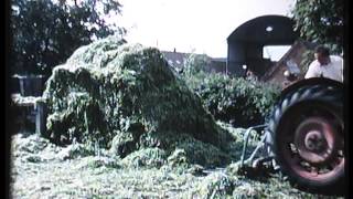 Dairy Farming in the UK in the 1960s [upl. by Kendry]