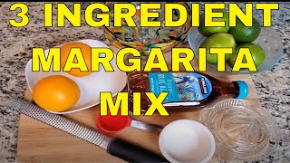 How To Make Margarita Mix  Easy Margarita Recipe [upl. by Alexina]