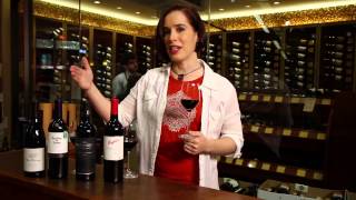 Pinot Noir Merlot Cabernet Sauvignon Shiraz Syrah  Red Wine Guide [upl. by Cherian9]