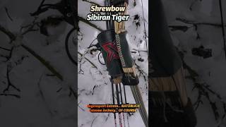 Bogensport Extrem shrewbows archery [upl. by Samara]