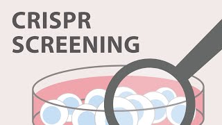 Introduction to CRISPRCas9 Genome Editing [upl. by Woothen826]