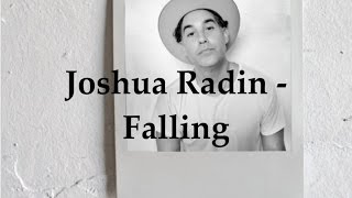 Joshua Radin  Falling Lyric Video [upl. by Sirraf]