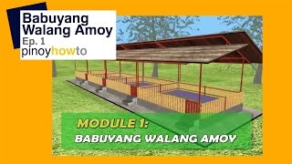 How to Raise Pigs Babuyang Walang Amoy or Odorless Pigpen Episode 1  Pinoy How To [upl. by Camellia]