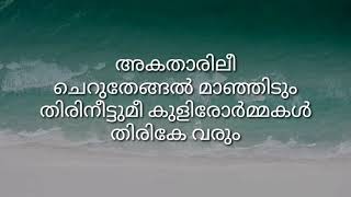 thaniyemizhikal guppy lyrics  Thaniye Mizhikal  Guppy  Movie Song Lyrics [upl. by Hayarahs]