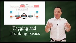 IEEE 802 1Q Tagging and Trunking 101 [upl. by Fabozzi]