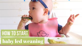 BABY LED WEANING HOW TO START amp DO IT RIGHT [upl. by Natan]