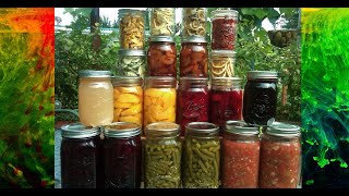 Botulism and Canning vs Vacuum Sealing [upl. by Ecirtnahc224]