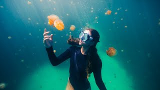 The Most Beautiful Free Diving in the World [upl. by Kenneth305]