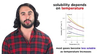 Temperature and Gas Solubility [upl. by Joannes694]