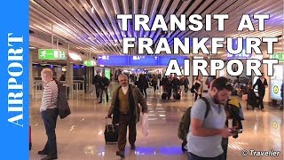 TRANSIT WALK AT FRANKFURT Airport FRA Terminal 1  Connection Flight Transfer Arriving amp Departing [upl. by Mayne613]