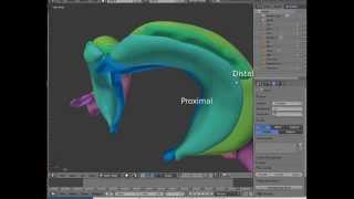 The hippocampal formation a short overview [upl. by Marillin61]