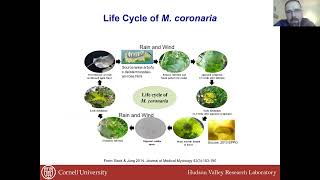 Marssonina Leaf and Fruit Blotch Biology and Management [upl. by Latsyrhk]