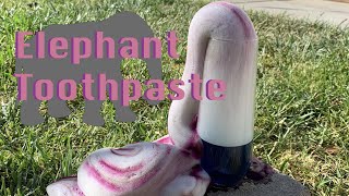 Elephant Toothpaste Experiment made easy [upl. by Cole]