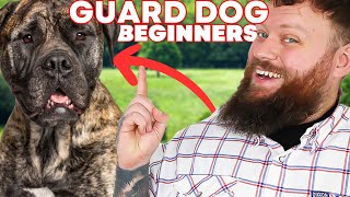 The Best GUARD DOG BREEDS FOR FIRST TIME OWNERS [upl. by Acir]