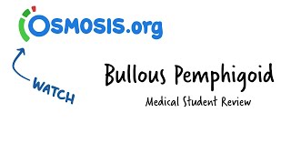 Bullous Pemphigoid Osmosis Study Video [upl. by Garibald205]