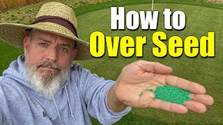 Overseeding Lawns in the Spring  How to  Dos and Donts [upl. by Ian]