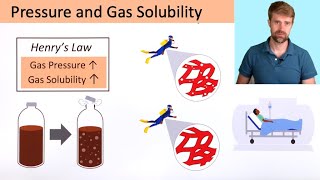 Pressure and Gas Solubility Henrys Law [upl. by Fortuna]