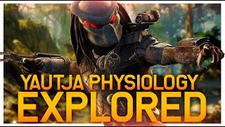 Yautja Predator Physiology and Evolution Explored  The Only species to hunt Arnold Schwarzenegger [upl. by Alda]