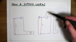 How a siphon syphon works [upl. by Bundy250]