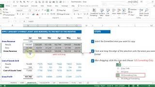 Fill Formatting in Excel [upl. by Ahsinauj]