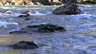 Flowing River 1080p HD Without Music [upl. by Nosac]