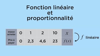 Fonction linéaire et proportionnalité [upl. by Llertak]