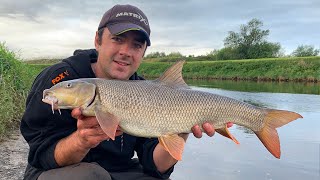 BARBEL FISHING The River Trent [upl. by Nosidda]