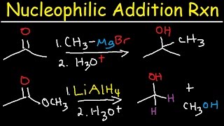 Nucleophilic Addition Reaction Mechanism Grignard Reagent NaBH4 LiAlH4 Imine Enamine Reduction [upl. by Iad]