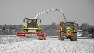 Travaux agricoles de lannée 2019 [upl. by Forrer536]