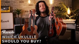 Which Ukulele Should You Buy  Reverb Buying Guide [upl. by Klump]