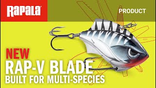 Rapala® VBlade The Multi Species MultiTool [upl. by Nyltiak328]