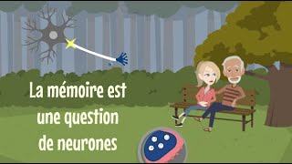 33  La mémoire est une question de neurones  Magistère mémorisation 28 [upl. by Nafis933]