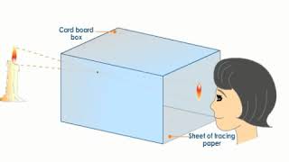 How to Make Your Own Pinhole Camera [upl. by Sualohcin763]