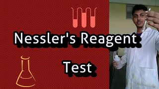 Nesslers Reagent Test [upl. by Hauhsoj265]