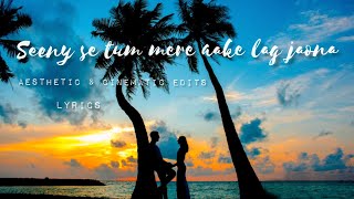 Seene Se Tum Mere Aake Lag Jao Na Lyrics female version❤️ Romantic 😍 WhatsApp Status😘Arijit Singh [upl. by Akenit753]