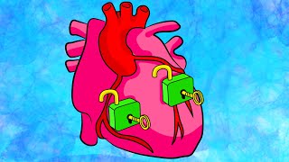 Arteries vs veinswhats the difference  Circulatory system physiology  NCLEXRN  Khan Academy [upl. by Triley]