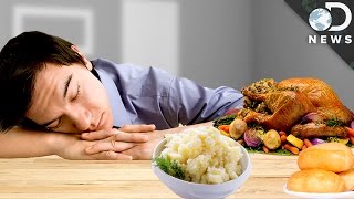 What Really Causes A Food Coma [upl. by Adnohsed]