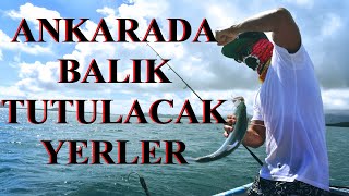 ANKARADA BALIK TUTULACAK YERLER [upl. by Andris211]