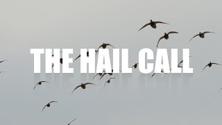 Mallard Calling — The Hail Call [upl. by Ahtilat]