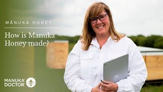 Manuka Honey How is Manuka Honey Made [upl. by Fadil]