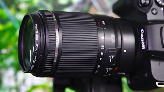 Tamron EFS 18200mm f3563 Di II VC Lens Details  ft Canon M50 amp 30D Tests [upl. by Annodal416]