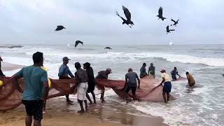 negombo Beach [upl. by Rheims]