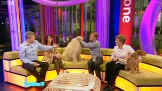 BBC Bloopers  Outtake TV  9042010 [upl. by Ysus]